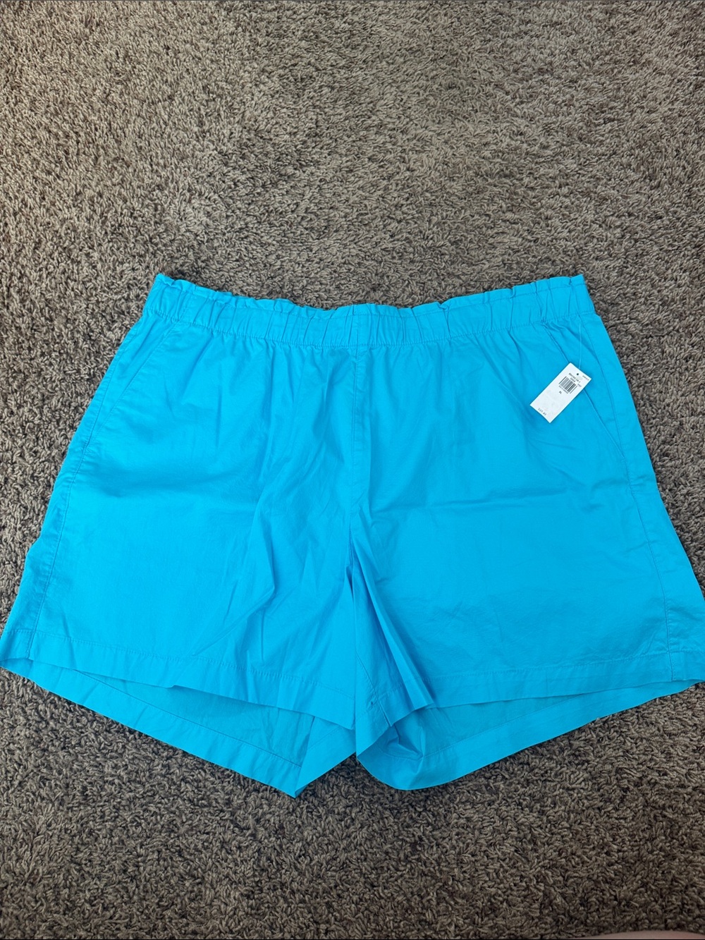 Old Navy Women’s Turqoise Casual Shorts